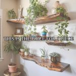 Live Edge Walnut Floating Shelf